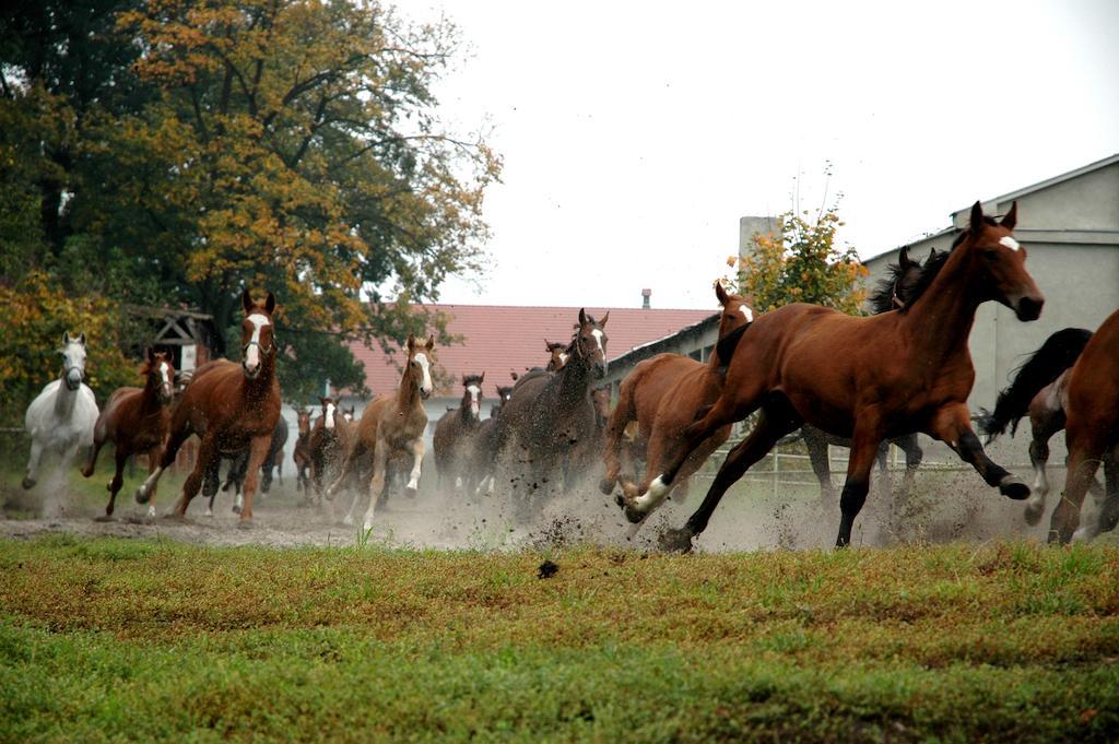 Palac Racot Koscian Bagian luar foto